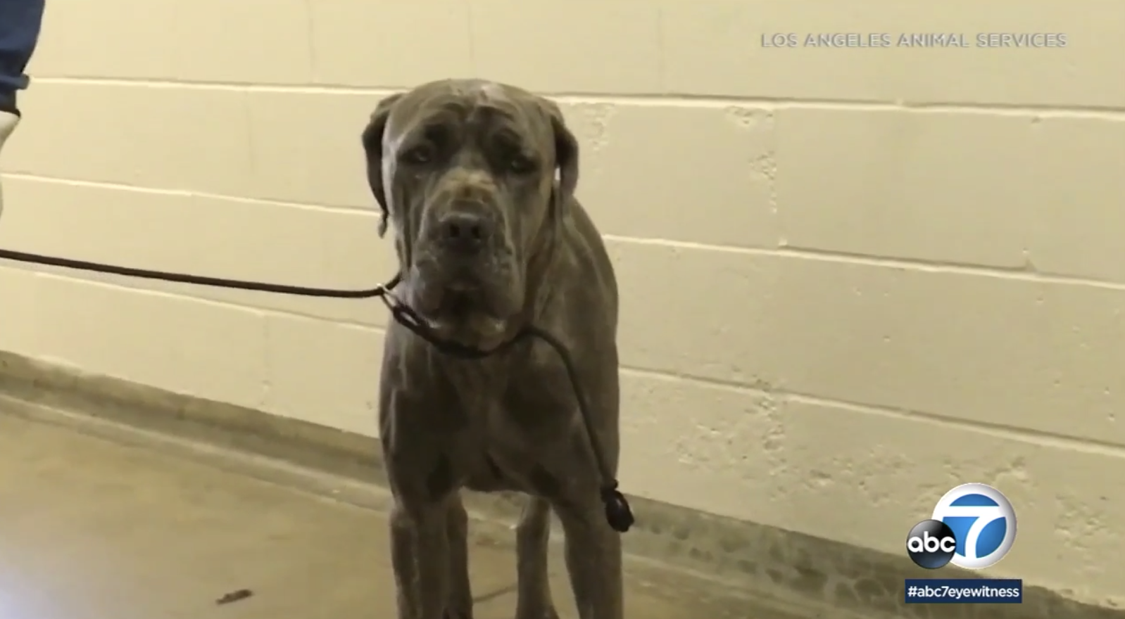 Screen Shot 2019-05-24 at 2.33.32 PM.png